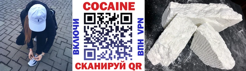 Cocaine FishScale  Купить закладки  Богородицк 