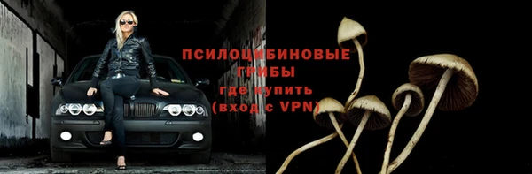 спиды Алексин