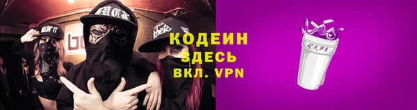 прущий лед Алзамай
