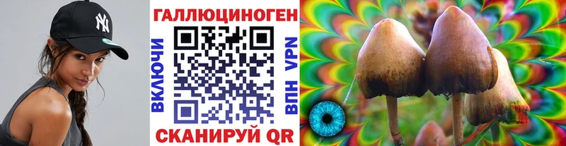 Купить Богородицк Псилоцибиновые грибы Psilocybe