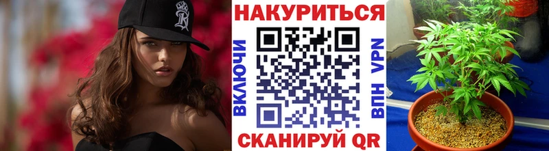 Купить где  Богородицк  Марихуана сатива 